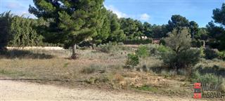 Propiedad en venta en Tibi · bk5054 3