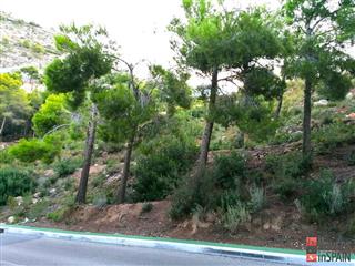Immobilie zum Verkauf in Altea · bk5055 7