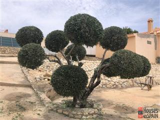 Bolig til salg i Alicante · vr1496 7
